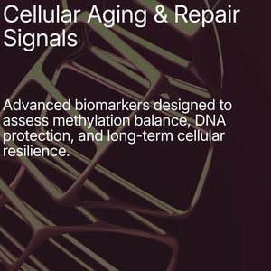 Methylation Load Test