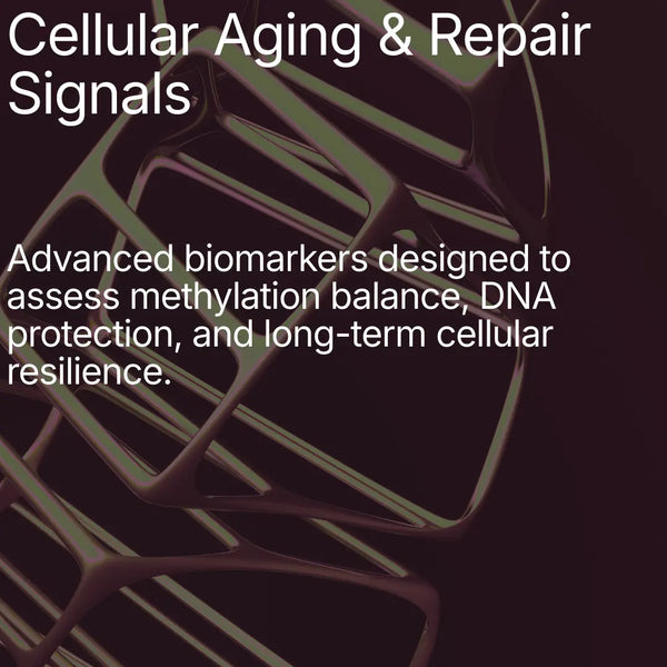 Methylation Load Test
