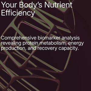 Amino Acid Blueprint