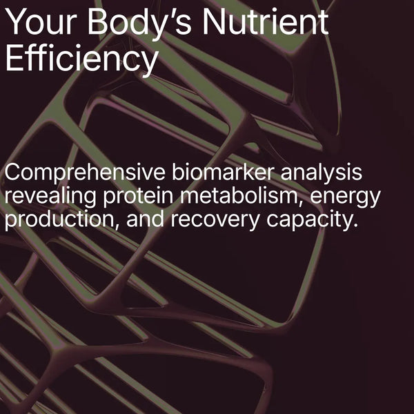 Amino Acid Blueprint