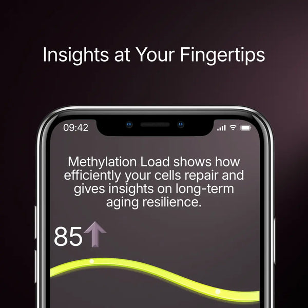 Methylation Load Test