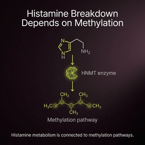 Methylation Signal Test