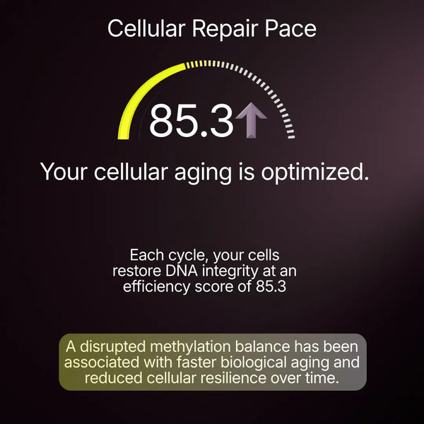 Methylation Load Test
