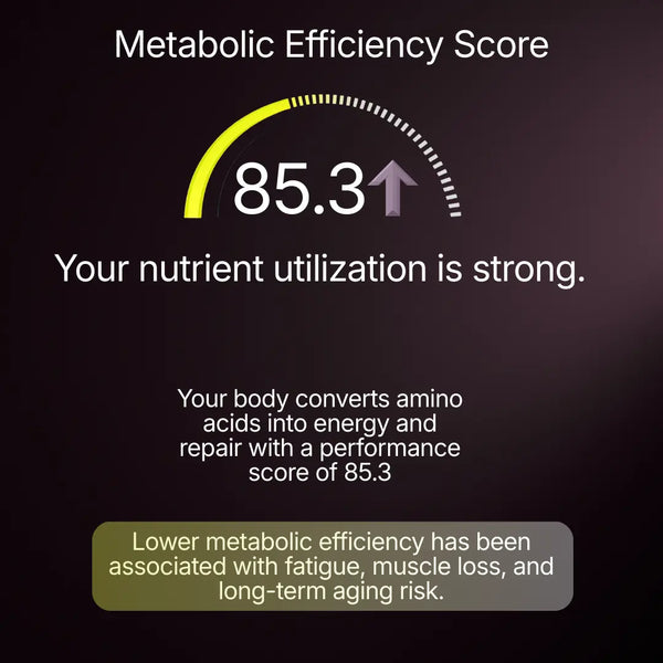 Amino Acid Blueprint